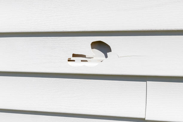 Best Shed Removal  in Pine Ridge, PA